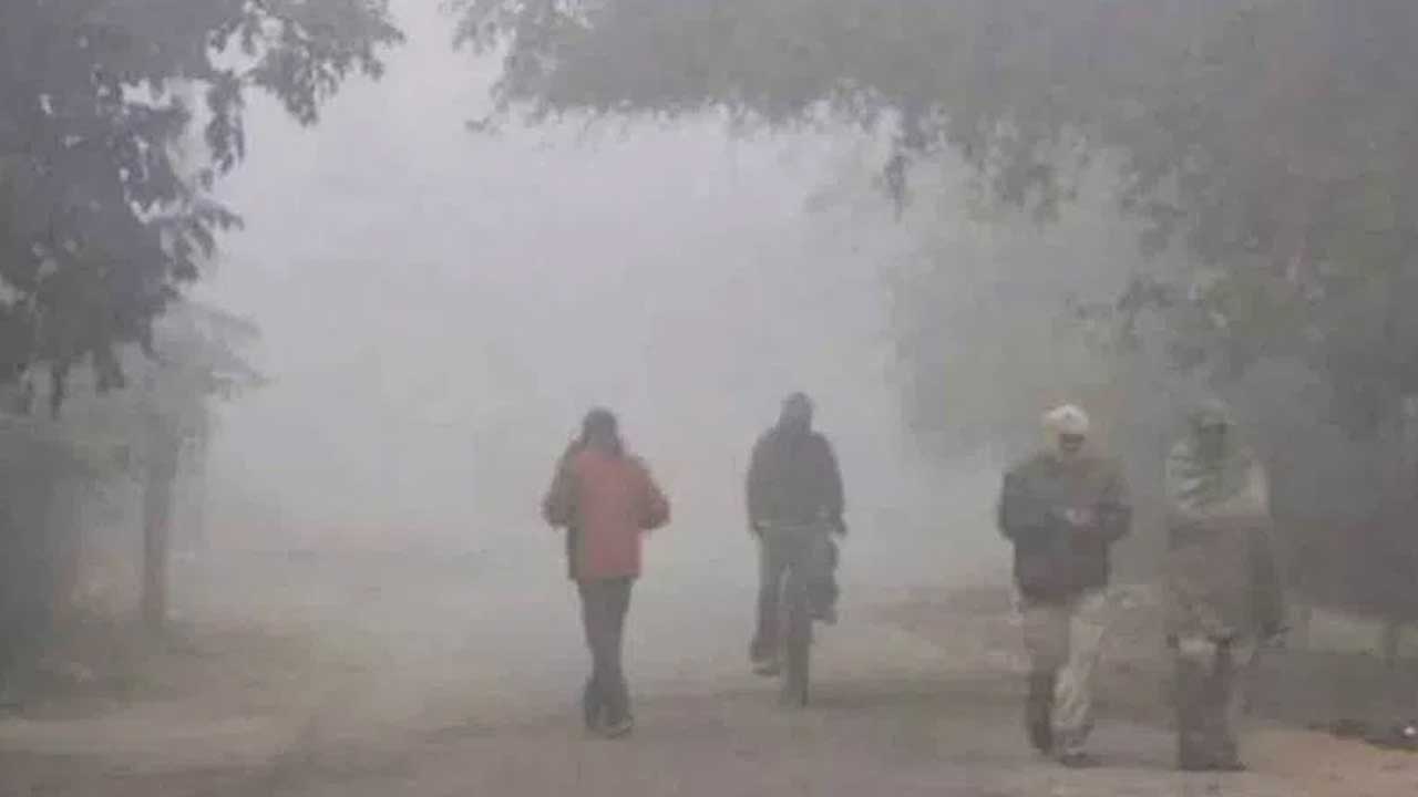 Cold Wave | పెరిగిన చలి తీవ్రత.. ఈ పది జిల్లాల్లో కనిష్ఠ ఉష్ణోగ్రతలు నమోదు..!