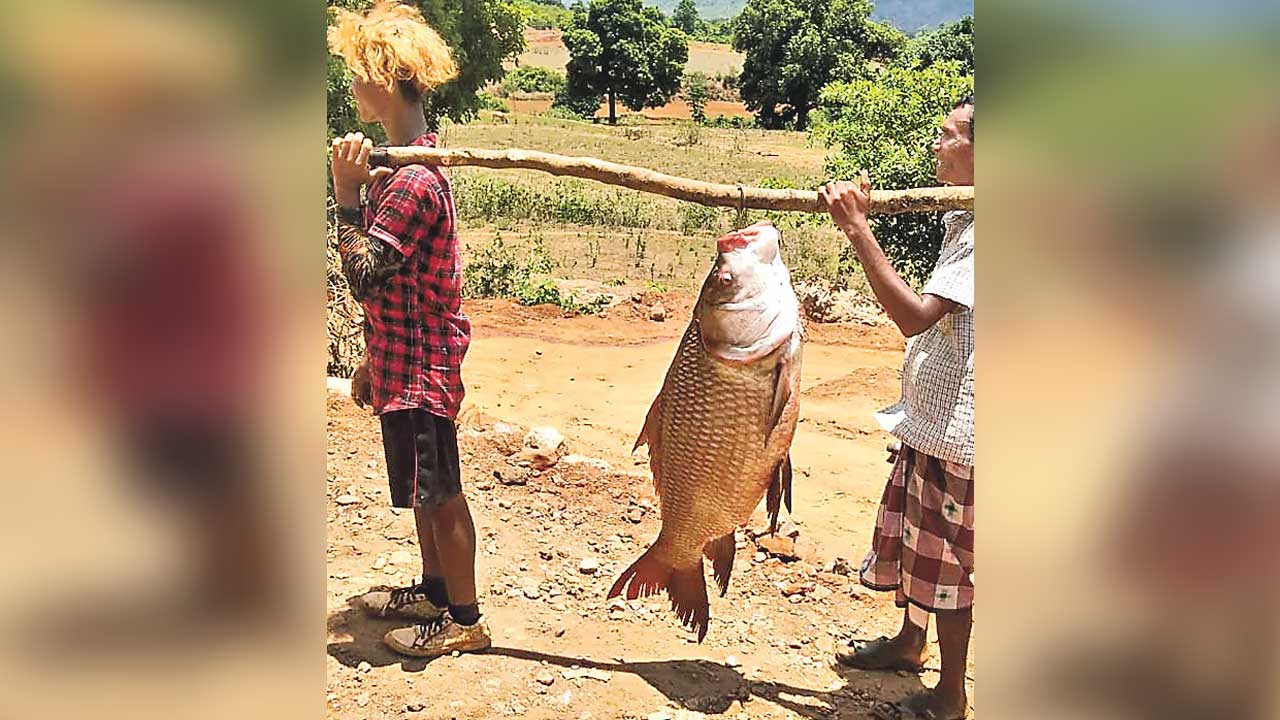 Fish | ఈ చేప ఖరీదు అక్షరాలా రూ. 15 వేలు..!