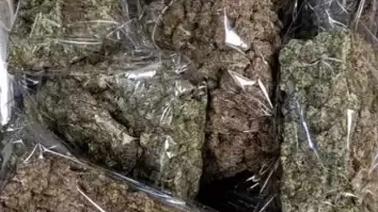 Ganja | హైద‌రాబాద్‌లో రూ. 70 ల‌క్ష‌ల విలువ చేసే గంజాయి స్వాధీనం