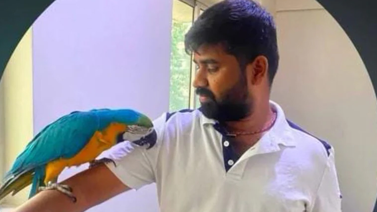 విషాదం.. లక్షల విలువైన పెంపుడు చిలుకను కాపాడబోయి ప్రాణాలు కోల్పోయిన యజమాని