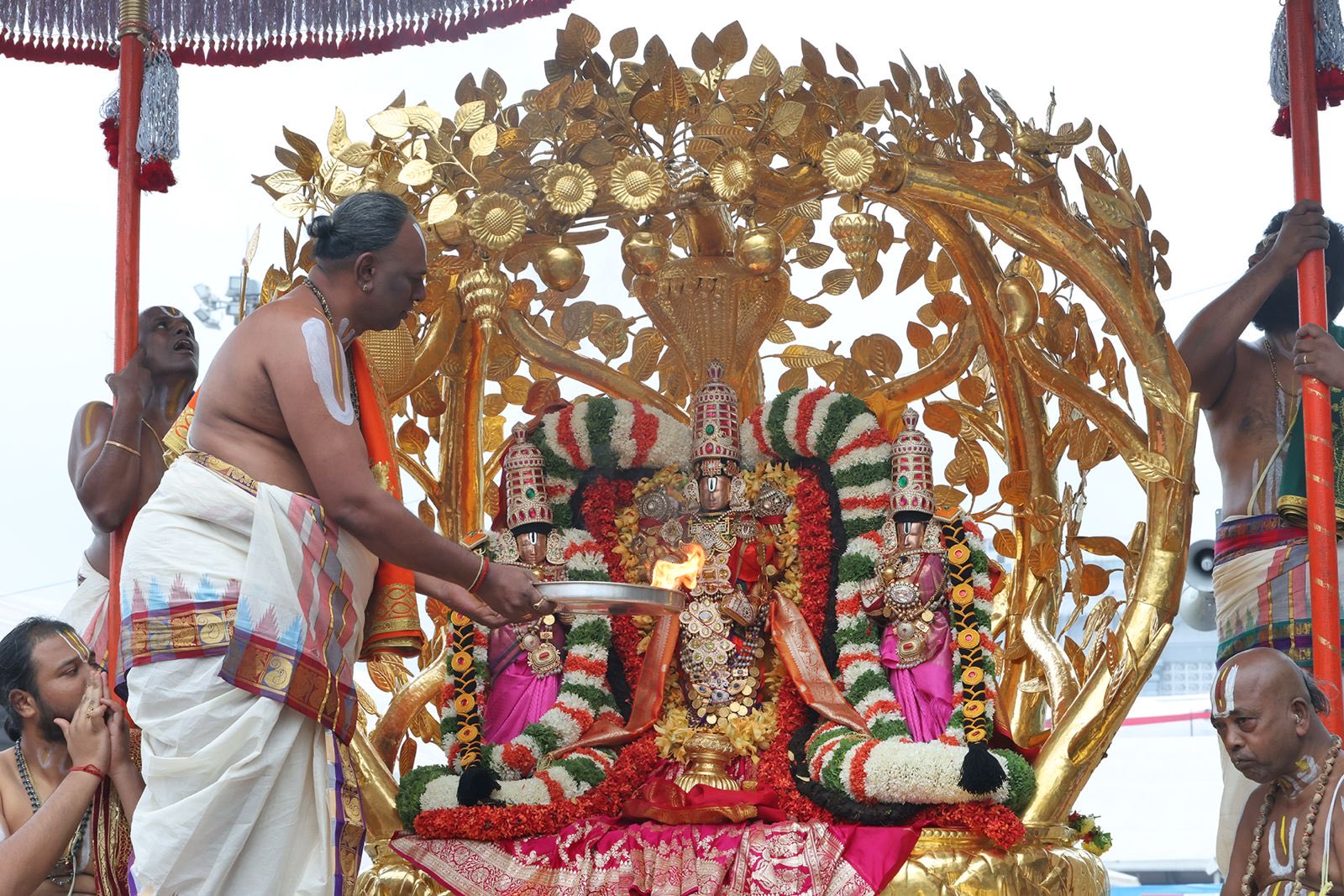 కల్పవృక్ష వాహన సేవ..