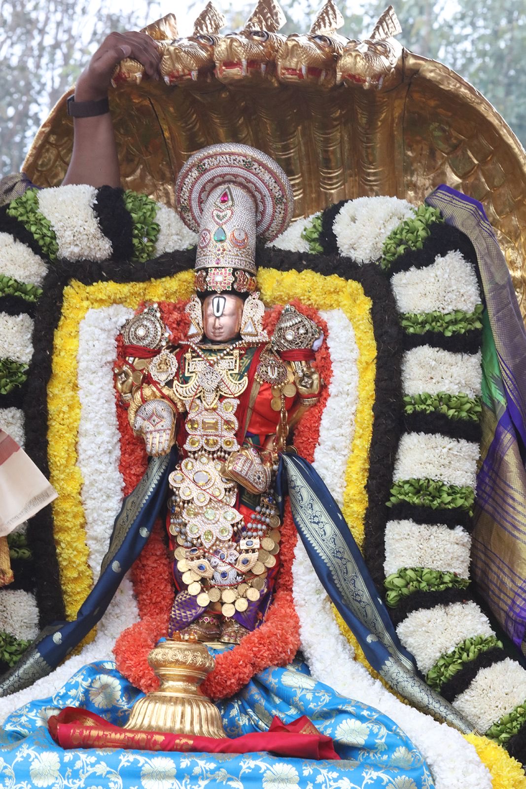 చిన్నశేష వాహనంపై స్వామివారు