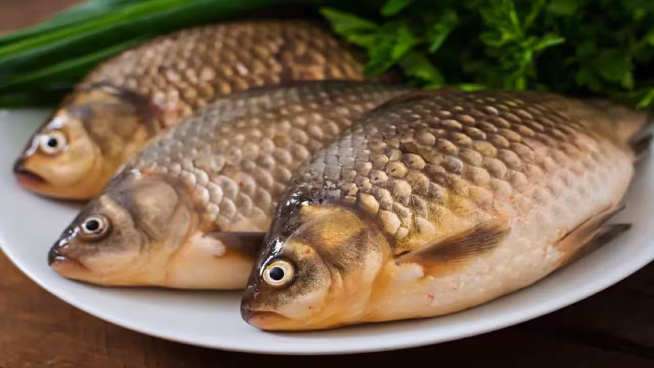 Boneless Fish | ఈ చేపల్లో అసలు ముళ్లు ఉండవు.. నూతన వెరైటీని అభివృద్ధి చేసిన సైంటిస్టులు..