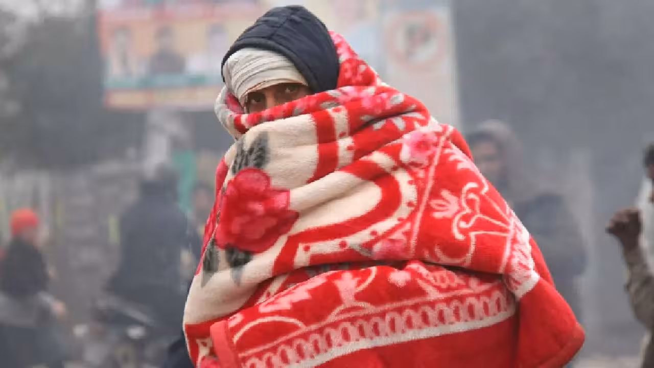 Cold Wave | తెలంగాణలో చలి పులి పంజా.. సింగిల్ డిజిట్కు ఉష్ణోగ్రతలు