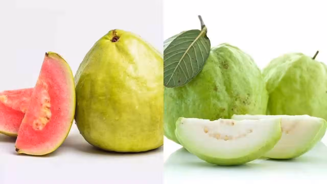 White Vs Pink Guava | తెలుపు వర్సెస్ పింక్.. ఏ రంగులో ఉండే జామ పండ్లను తింటే మంచిది..?