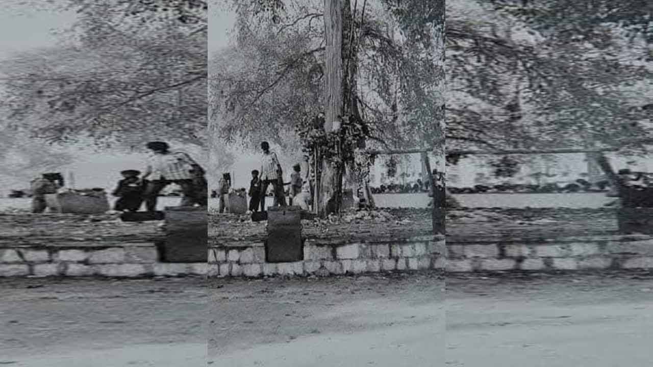Medaram Jathara | 50 ఏళ్ల క్రితం మేడారం జాతర.. ఆశ్చర్యపరుస్తున్న ఫొటోలు - Image 14