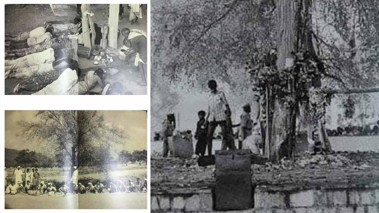 Medaram Jathara | 50 ఏళ్ల క్రితం మేడారం జాతర.. ఆశ్చర్యపరుస్తున్న ఫొటోలు - Image 16