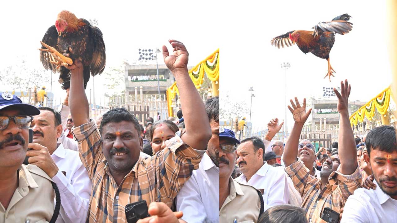 Medaram Jathara | మేడారం భక్త జనసంద్రం.. కోలాహలంగా మహాజాతర.. ఫొటోలు - Image 8