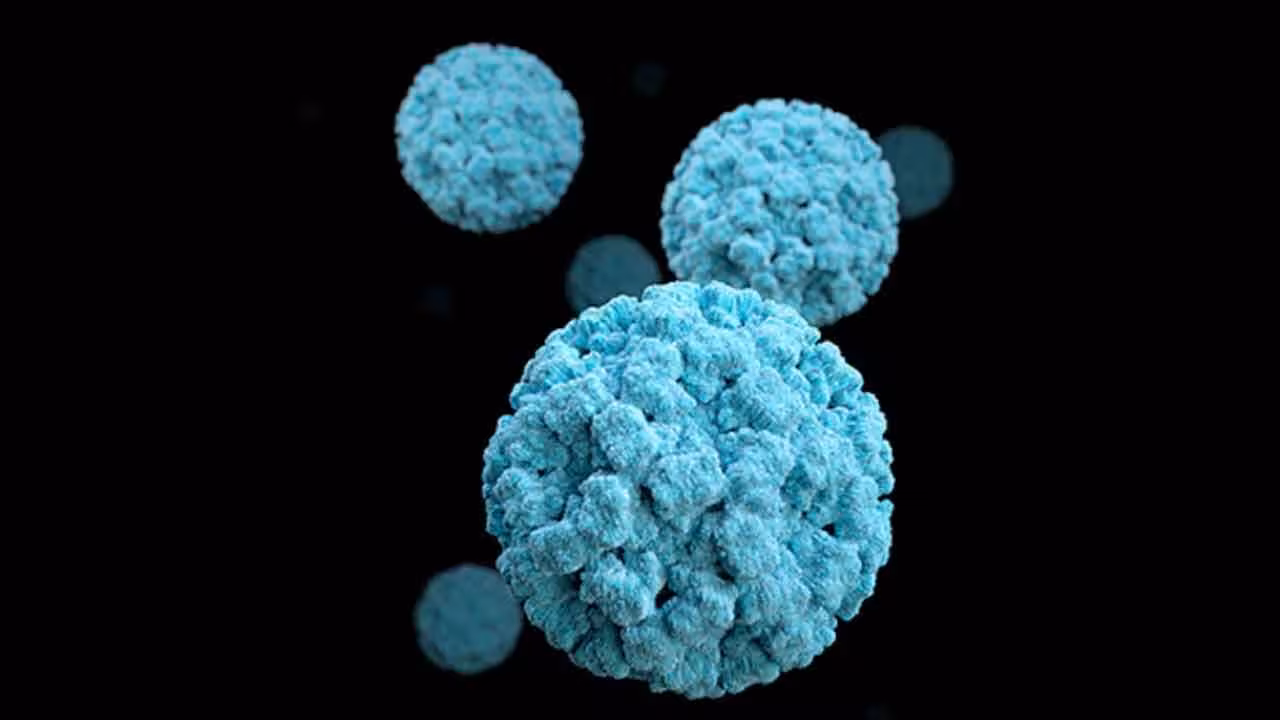 Norovirus | చైనాలో నోరోవైరస్ కలకలం.. 103 మంది విద్యార్థులకు ఇన్ఫెక్షన్..