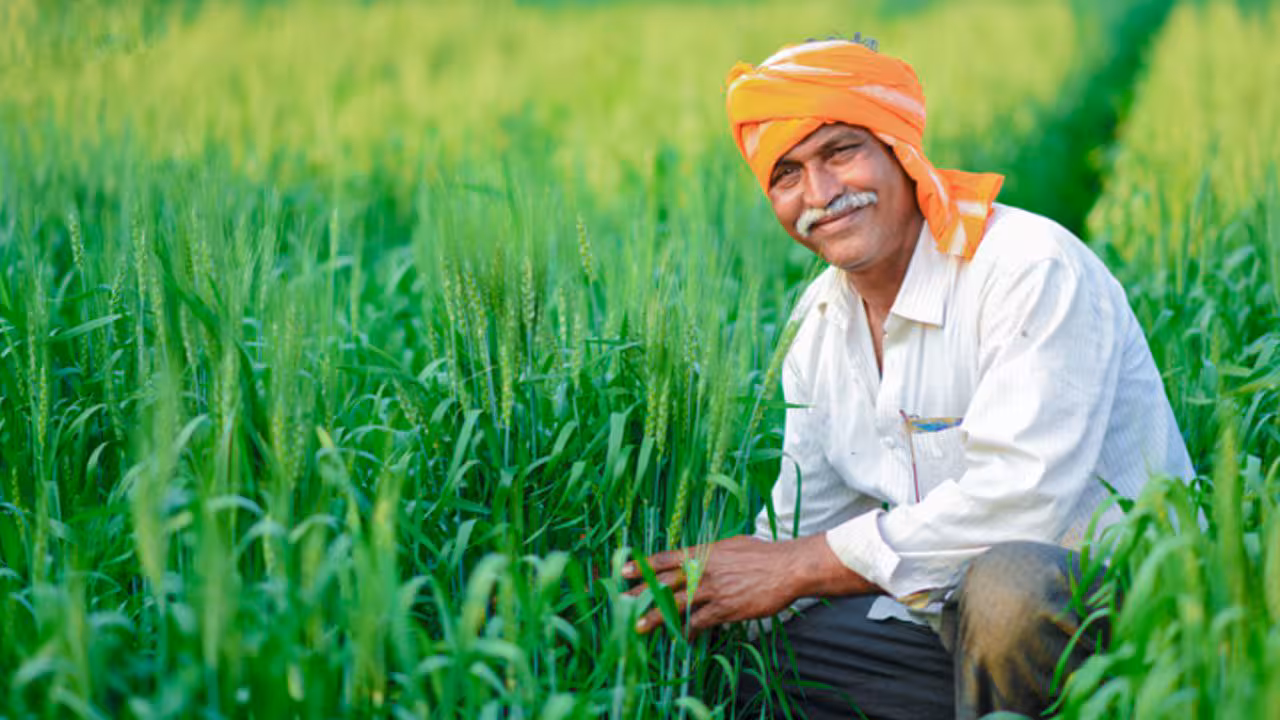 PM Kisan | ఫిబ్రవరిలో పీఎం కిసాన్ సమ్మాన్ నిధులు!.. వారి ఖాతాల్లో రూ.4వేలు!