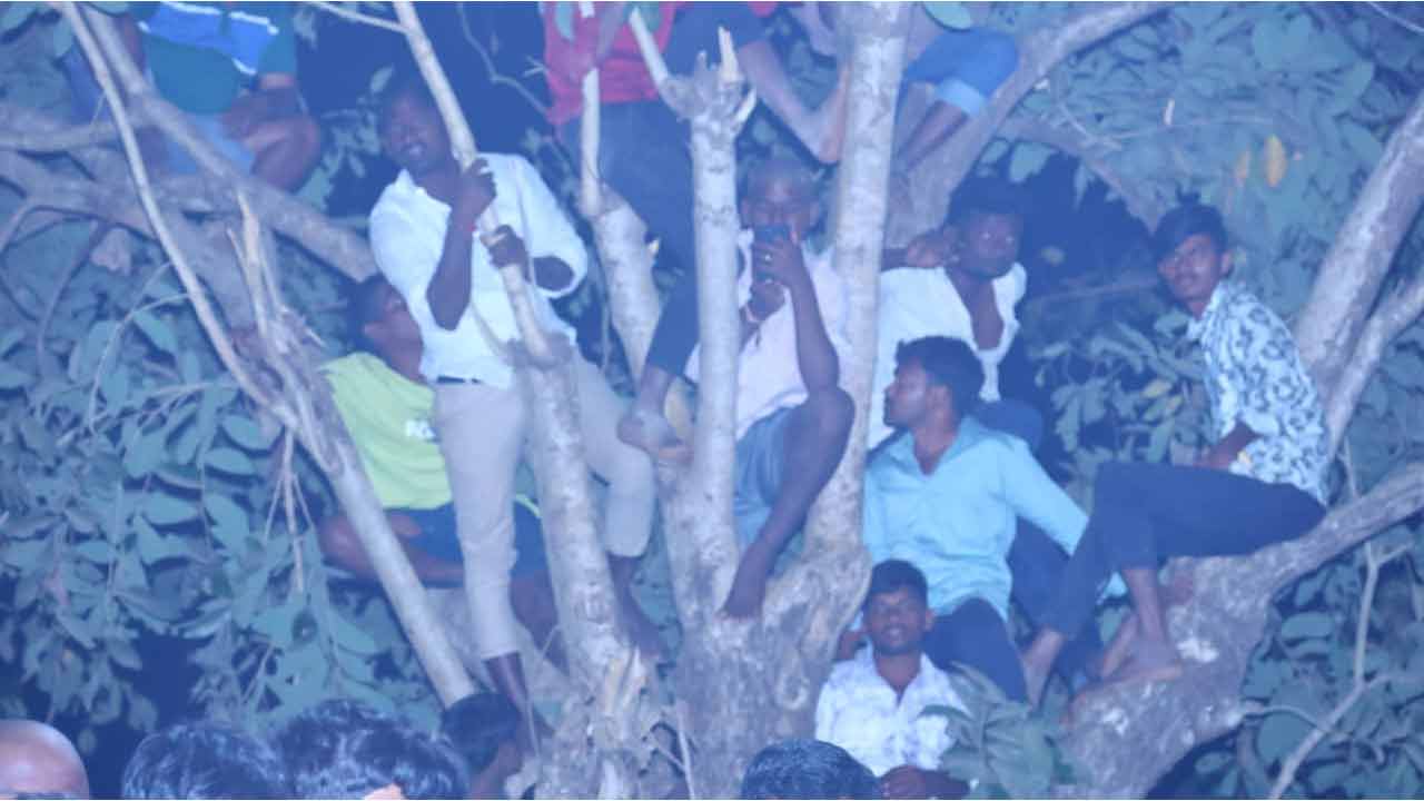 Medaram Jathara | వనం నుంచి జనంలోకి సమ్మక్క.. భక్తి పారవశ్యంలో జనారణ్యం.. ఫొటోలు - Image 12