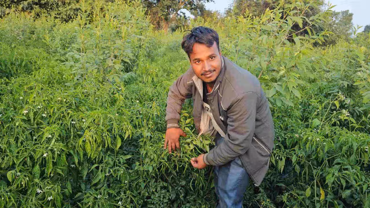 Jharkhand Engineer Turns Farmer | ఇంజినీరింగ్ జాబ్ వదిలి వ్యవసాయం చేస్తూ.. రోజుకు రూ.15వేల సంపాదన..