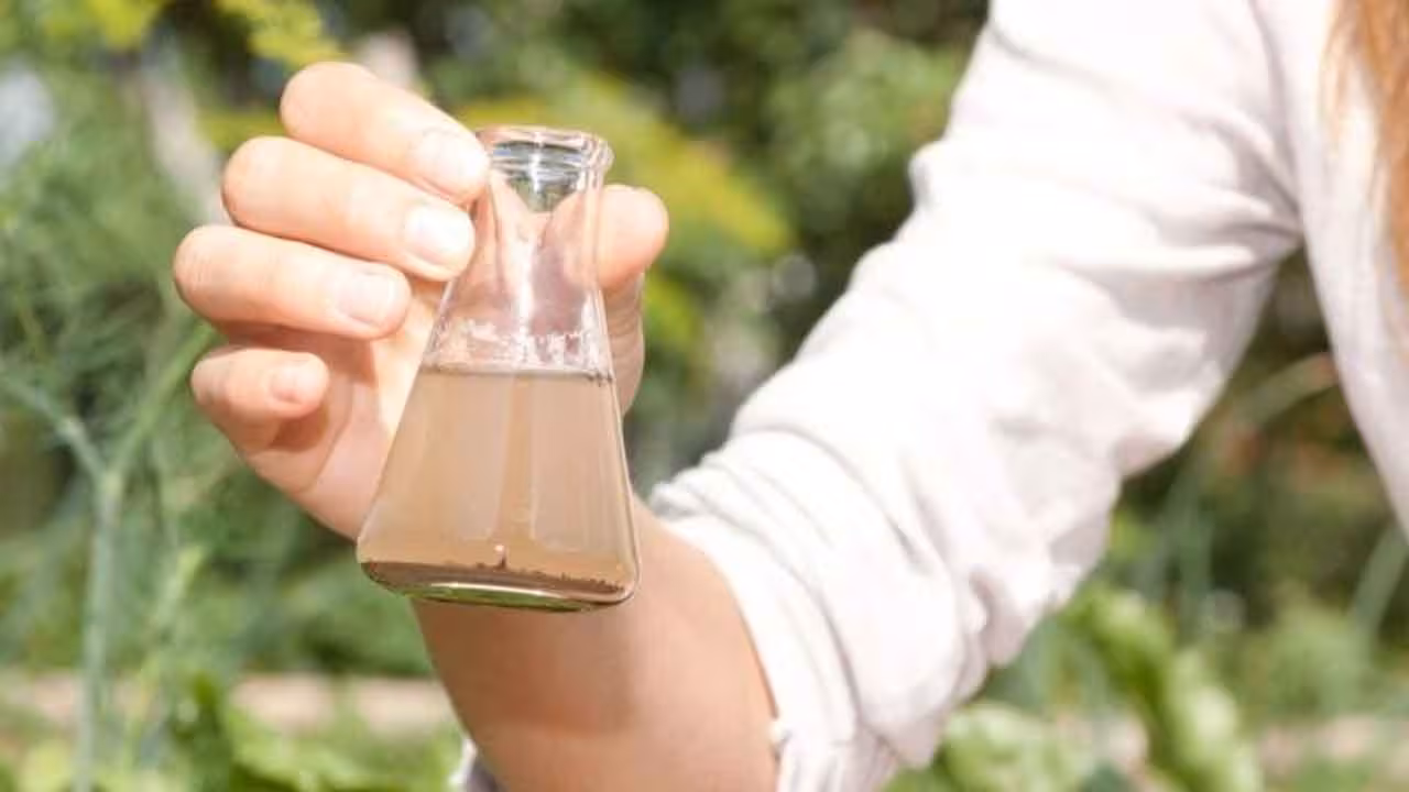 Water Quality Test | మనం తాగుతున్న నీళ్లు సురక్షితమేనా..? ఇంట్లోనే నీటి నాణ్యతను ఇలా టెస్ట్ చేయండి..!