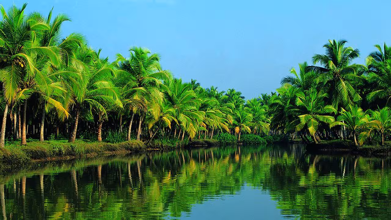 Keralam | కేరళం అంటే ఏంటీ..? రాష్ట్రం పేరును ఎందుకు మార్చారంటే..?
