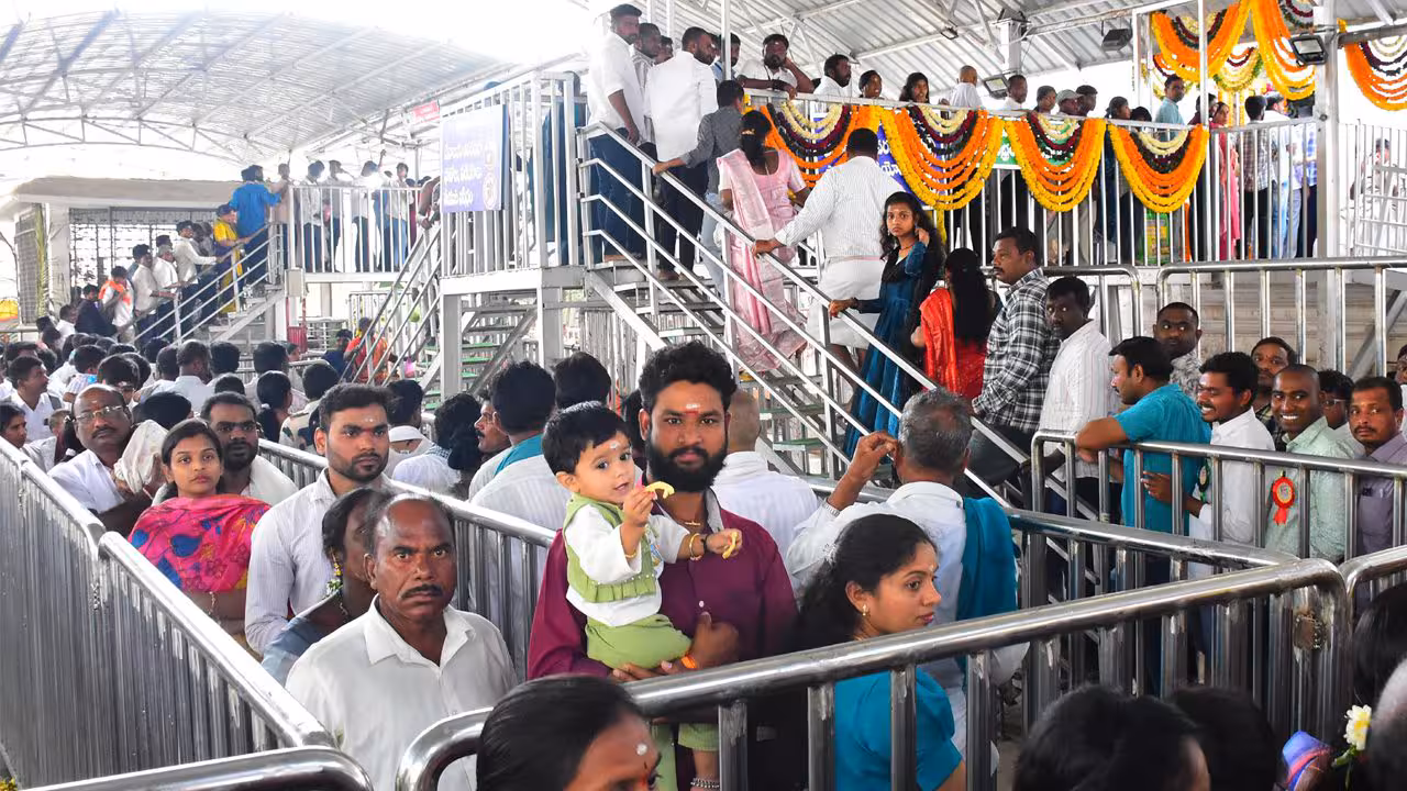 Maha Shivratri | వేములవాడకు పోటెత్తిన భక్తులు.. వైభవంగా శివరాత్రి వేడుకలు