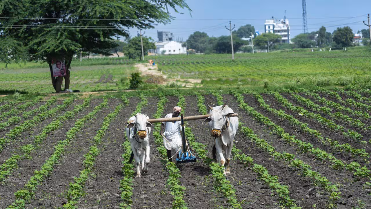 Telangana | అప్పుల ఊబిలో 91 శాతం రైతు కుటుంబాలు.. తలసరి రుణం ఎంతంటే?