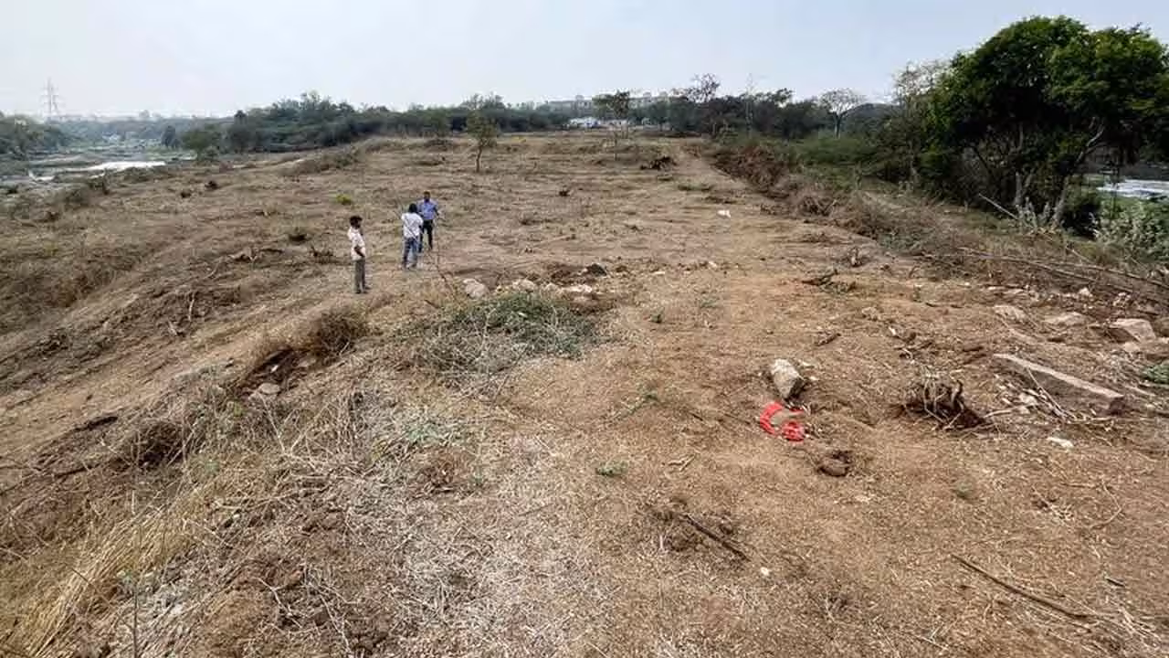 Gandhi Sarovar Project | గాంధీ సరోవర్ ప్రాజెక్టు.. భారీ వృక్షాలు నరికివేత