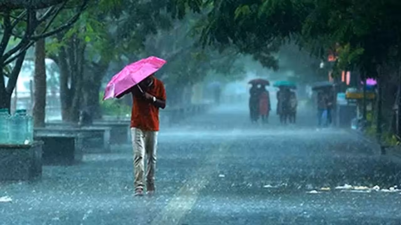 Rainfall | 16 నుంచి వారం రోజులపాటు వానలు.. పలు జిల్లాలకు ఎల్లో అలర్ట్