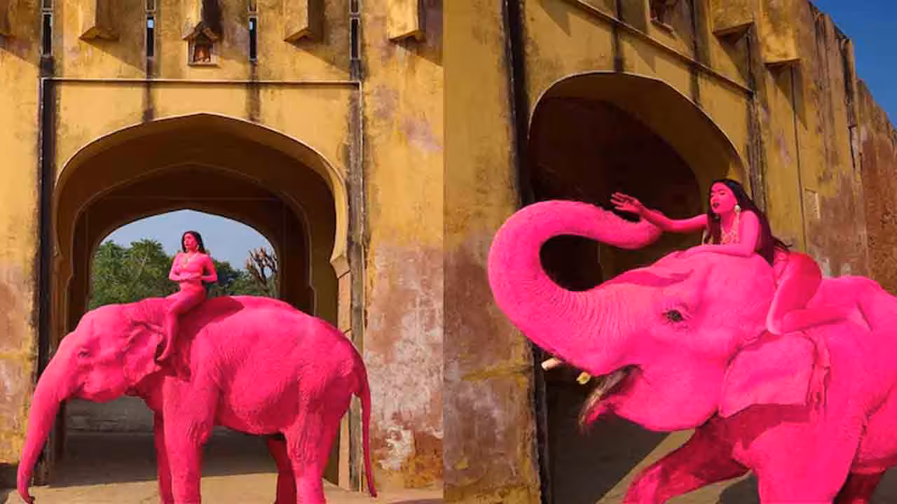 Elephant | ఫొటోషూట్ కోసం ఏనుగుకు గులాబీ రంగేసిన టూరిస్ట్.. నెట్టింట తీవ్ర విమర్శలు