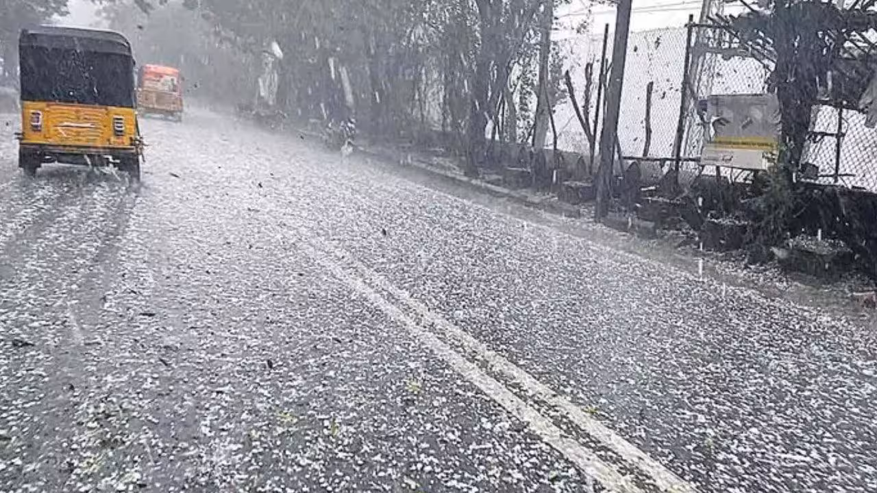 TG Weather | తెలంగాణ పలు జిల్లాల్లో వడగళ్ల వానలు.. ఆరెంజ్ అలెర్ట్ జారీ చేసిన ఐఎండీ