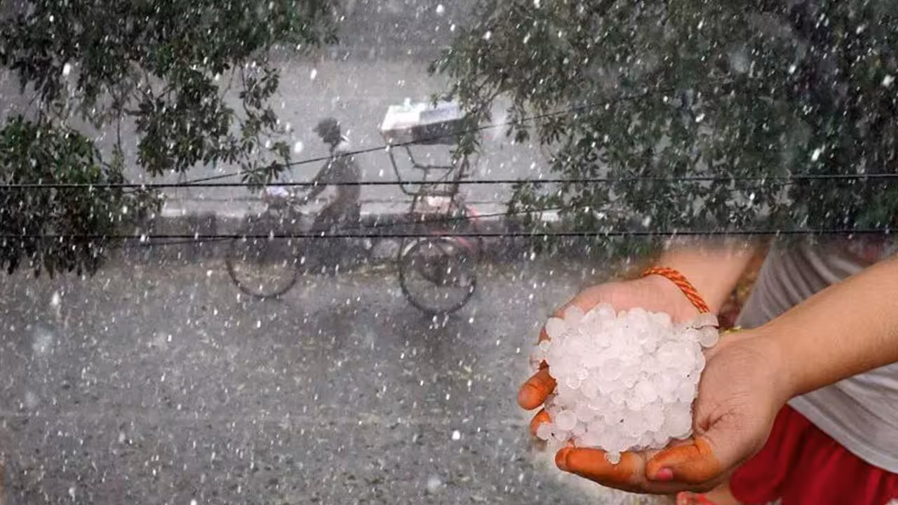 TG Weather | తెలంగాణలో రెండురోజులు ఈ జిల్లాల్లో వడగళ్ల వానలు.. ఆరెంజ్ అలెర్ట్ జారీ చేసిన వాతావరణశాఖ..!