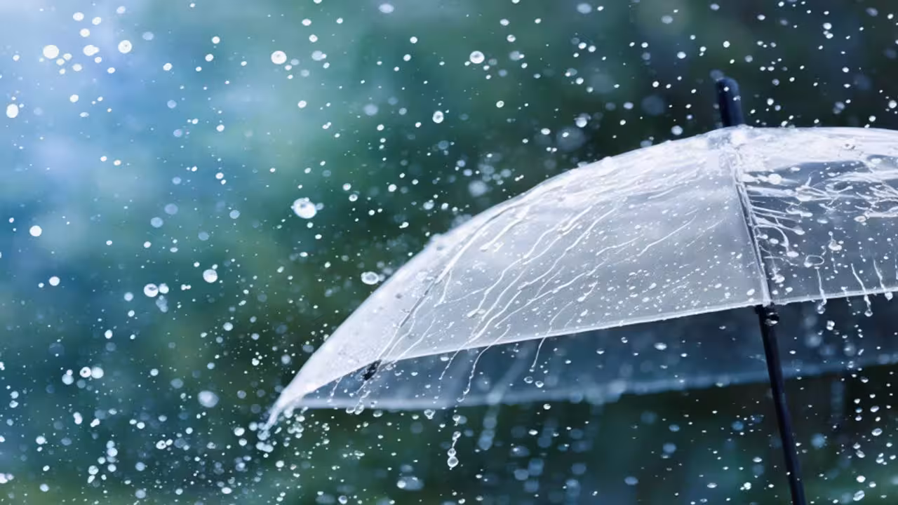 TG Weather | తెలంగాణలో రేపటి నుంచి ఐదురోజులు వానలే.. ఎల్లో అలెర్ట్ జారీ చేసిన ఐఎండీ..!
