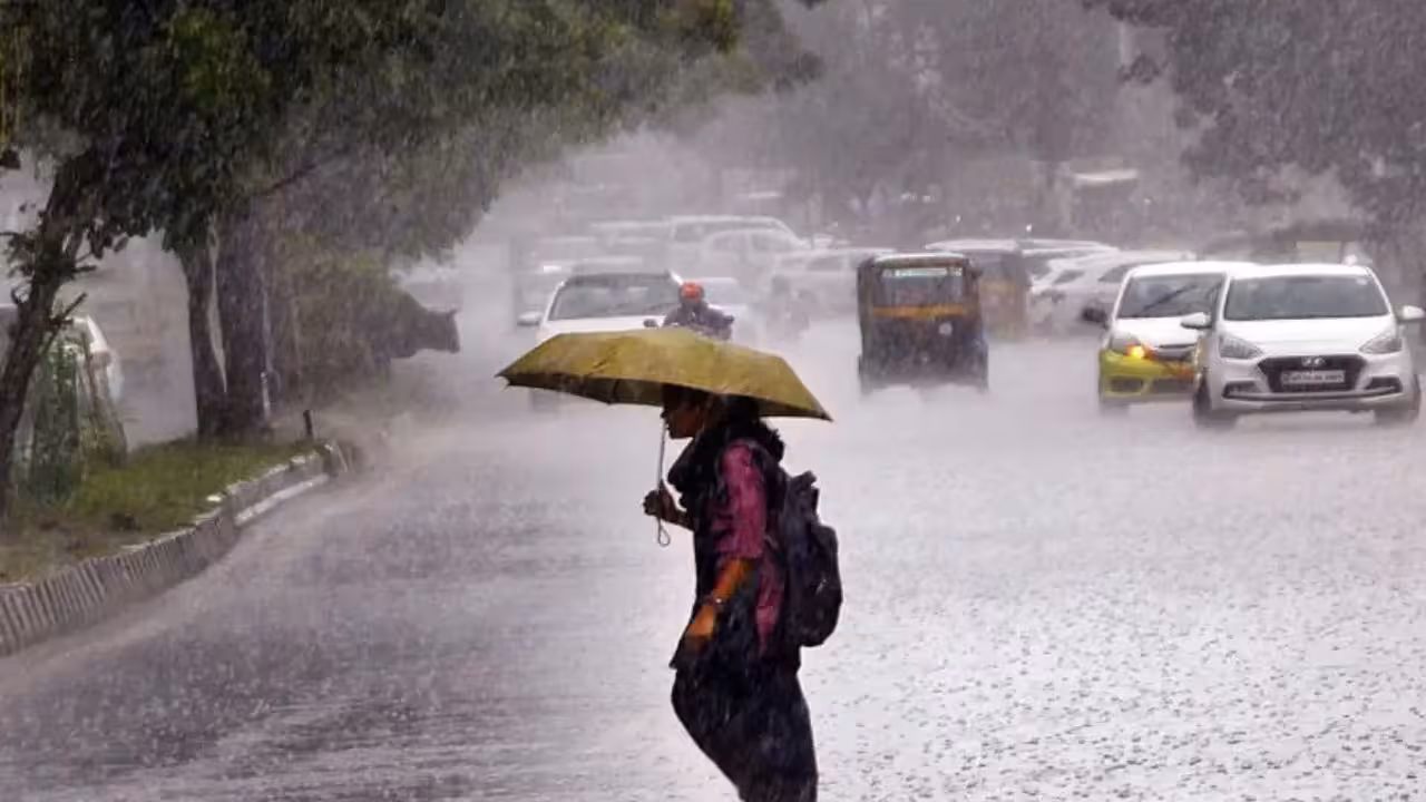 Rains | చల్లని కబురు.. మరో వారం రోజులు వానలే వానలు..!