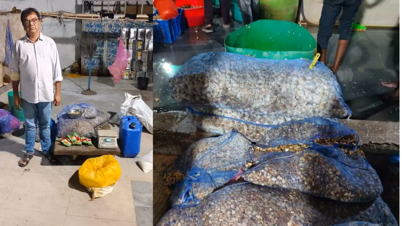 Ginger paste seize | 4,032 కిలోల కలుషిత అల్లం పేస్ట్ సీజ్.. నిందితుడి అరెస్ట్