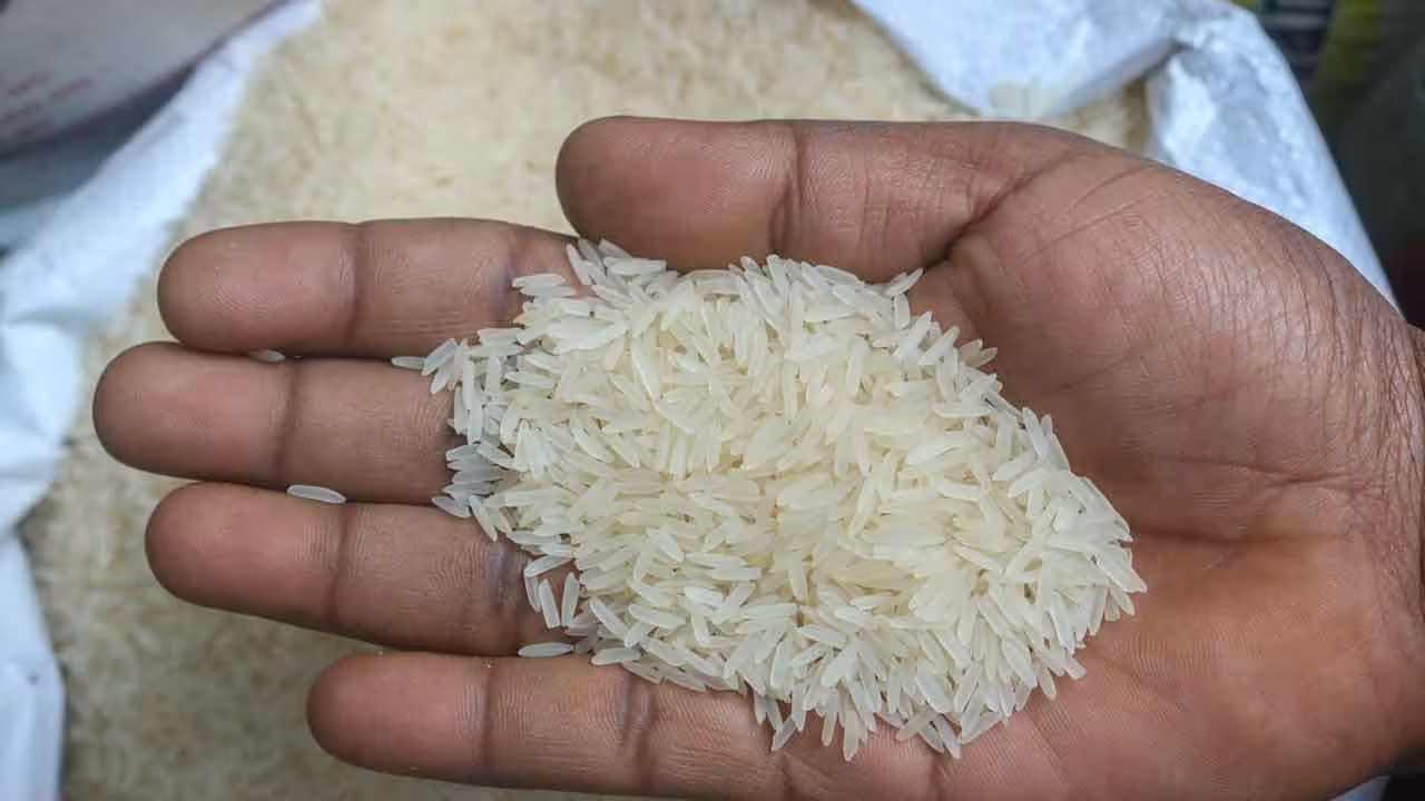 Basmati Rice | ఇరాన్కు భారత్ బాస్మతి బియ్యం ఎగుమతులపై తీవ్ర ప్రభావం.. ఎక్కడికక్కడ నిలిచిపోయిన కంటెయినర్లు..