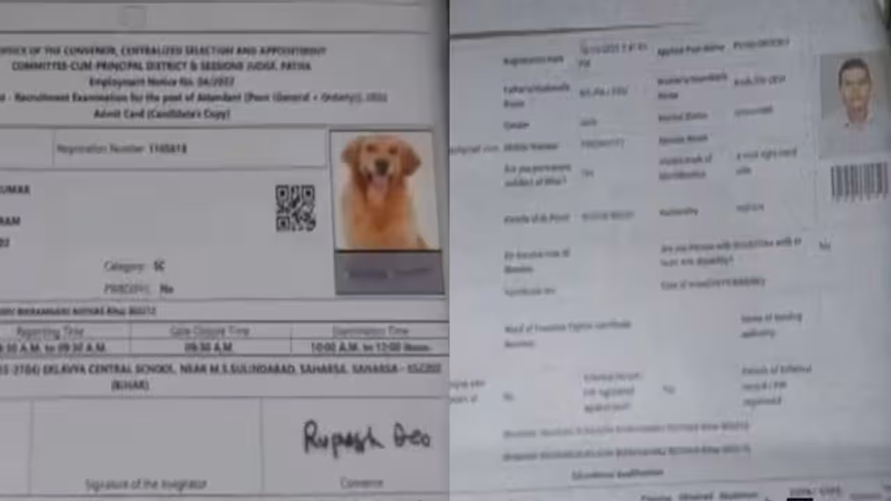 Admit Card | అడ్మిట్ కార్డులో అభ్యర్థికి బదులు కుక్క ఫొటో..