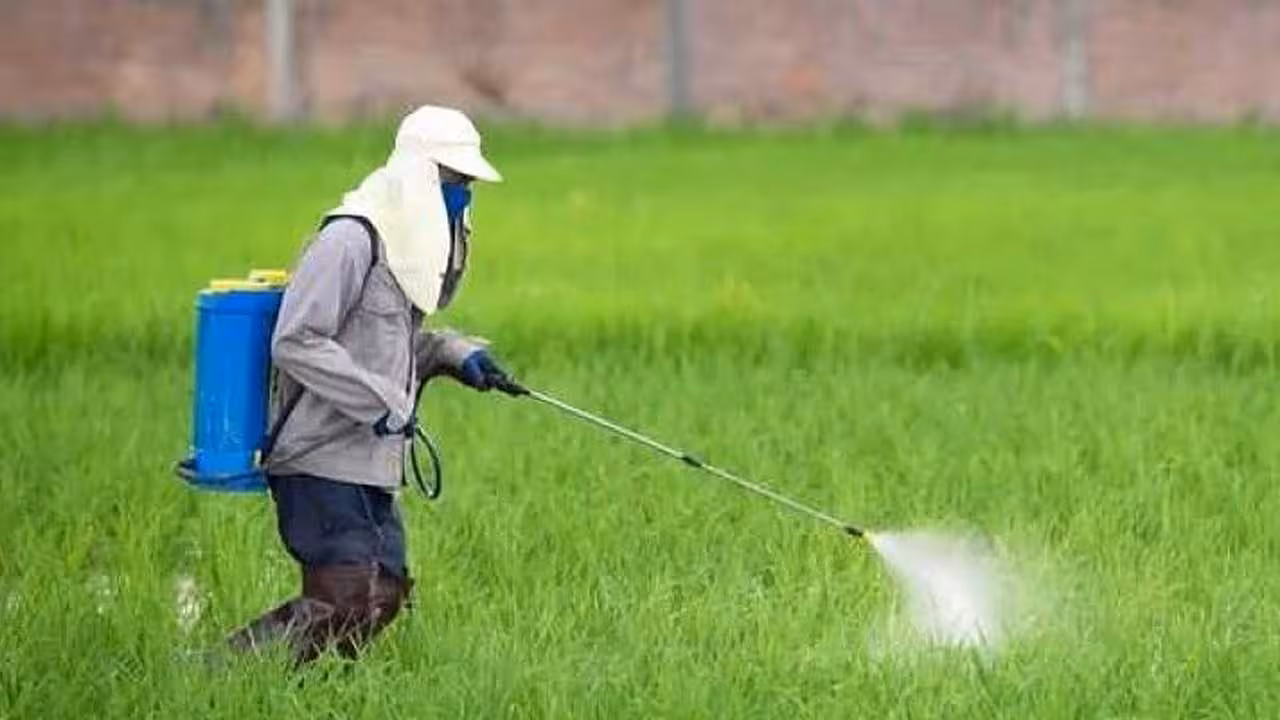 Herbicides | గడ్డి, కలుపు మందులను నిషేధించండి.. సీఎంకు రైతు కమిషన్ బృందం విజ్ఞప్తి