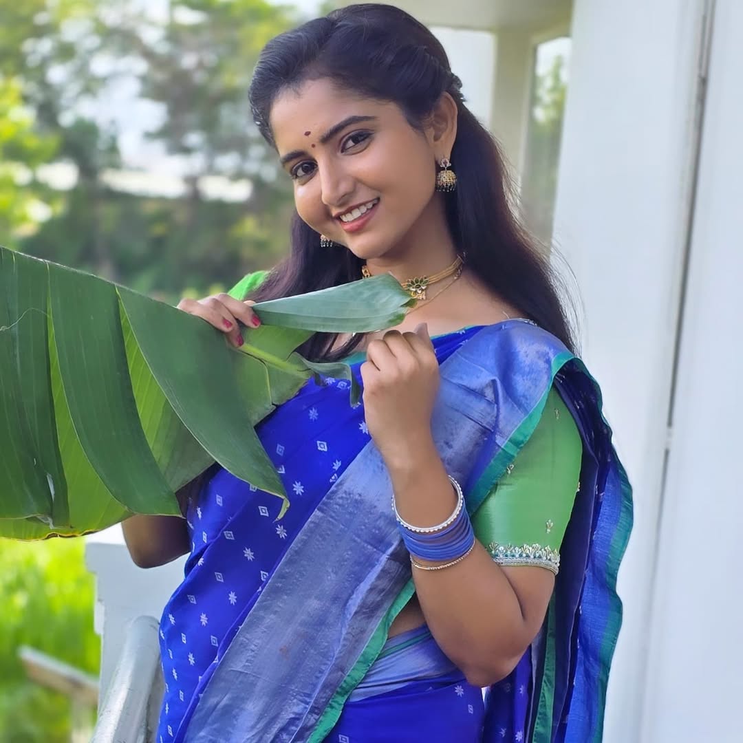 బ్రహ్మముడిలో దీపికా రంగరాజుతో పాటు మానస్ నాగులపల్లి కీలక పాత్రల్లో నటిస్తున్నారు.