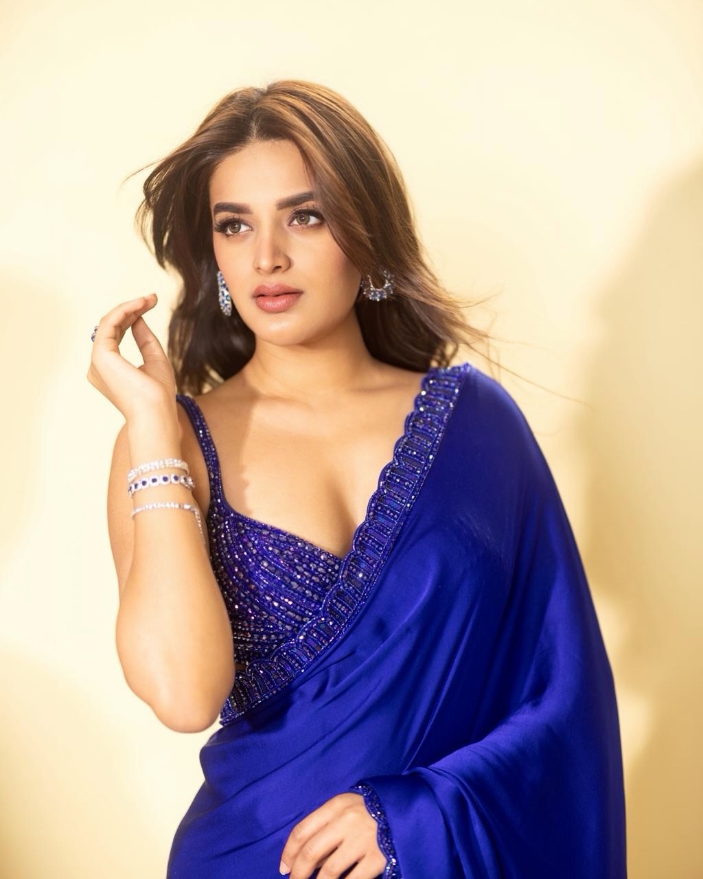 నిఖిల్ కార్తీక్ అనే డెబ్యూ డైరెక్టర్తో ఓ హారర్ థ్రిల్లర్ మూవీ అంగీకరించింది నిధి అగర్వాల్.