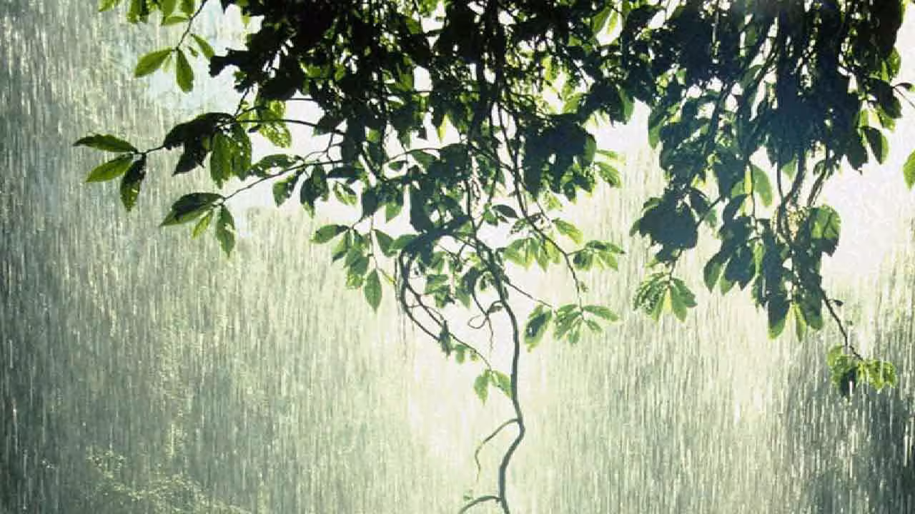 Rain Alert | తెలంగాణలో రేపు, ఎల్లుండి మోస్తరు వర్షాలు..!