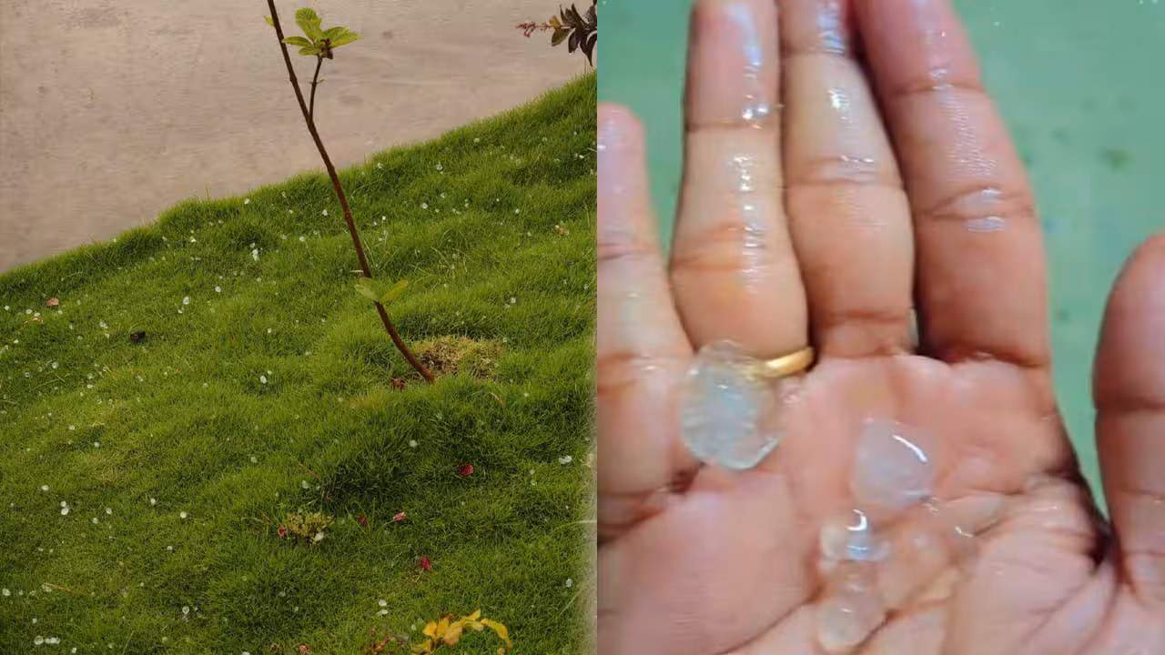 Rain | ఐటీ కారిడార్లో భారీ వడగళ్ల వాన..