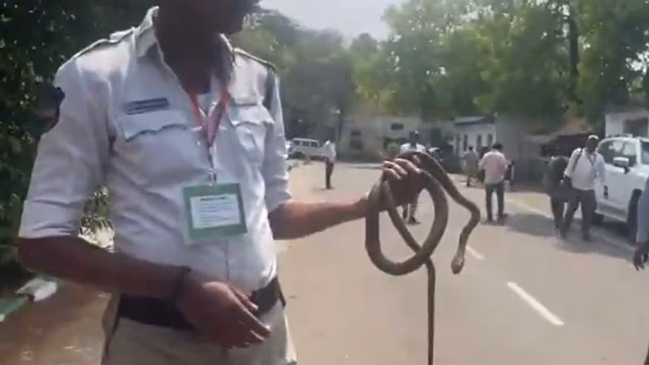 Snake | తెలంగాణ అసెంబ్లీలో పాము కలకలం.. వీడియో