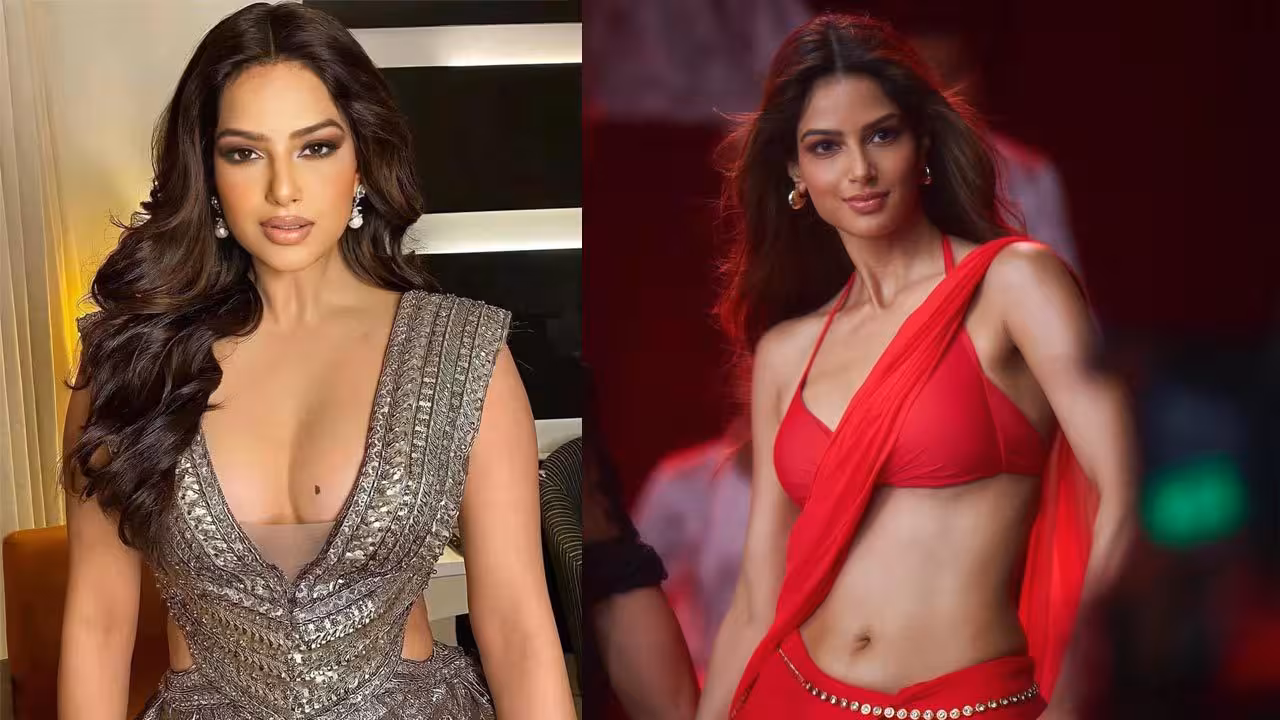 Harnaaz Sandhu | మహావతార్లో మిస్ యూనివర్స్.. విక్కీ కౌశల్కు జోడీగా హర్నాజ్ సందు..!