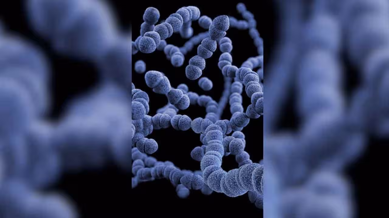 Flesh Eating Bacteria | అమెరికాలో మాంసాన్ని తినే బ్యాక్టీరియా గుర్తింపు.. వ్యాపిస్తే 48 గంటల్లో మరణం..