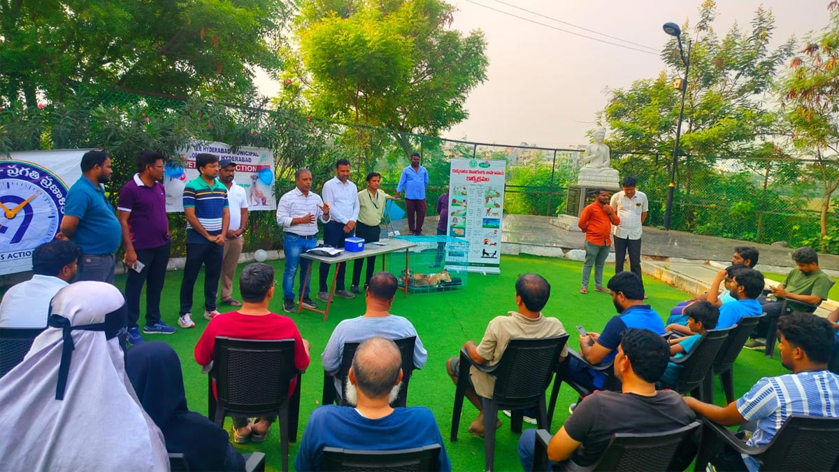 GHMC Special Drive 27 Indie Pups Adopted Hundreds of Stray Dogs Vaccinated in Hyderabad