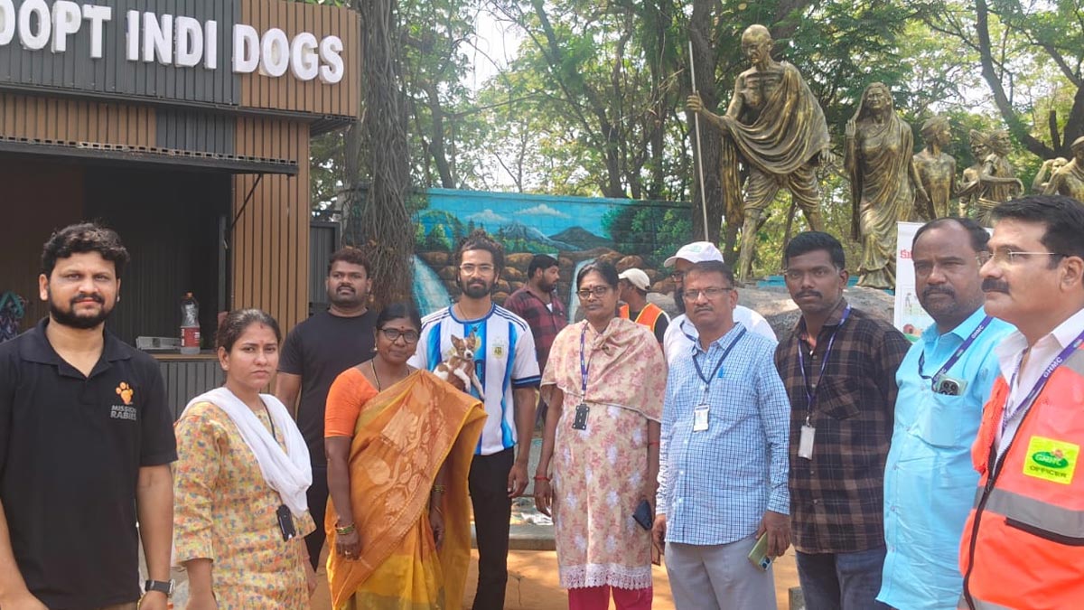 GHMC Special Drive 27 Indie Pups Adopted Hundreds of Stray Dogs Vaccinated in Hyderabad