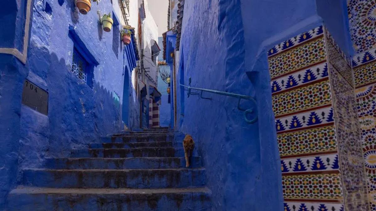 Why Jodhpur is Called the Blue City The Fascinating History and Why Its Iconic Blue Houses Are Vanishing