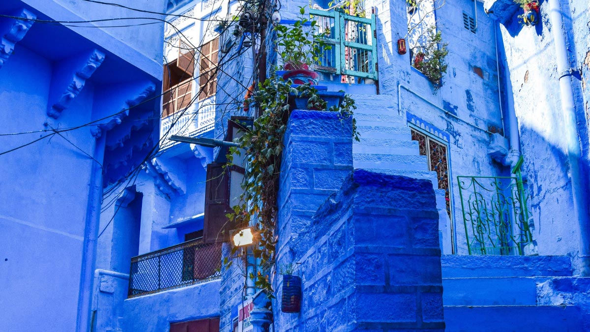 Why Jodhpur is Called the Blue City The Fascinating History and Why Its Iconic Blue Houses Are Vanishing