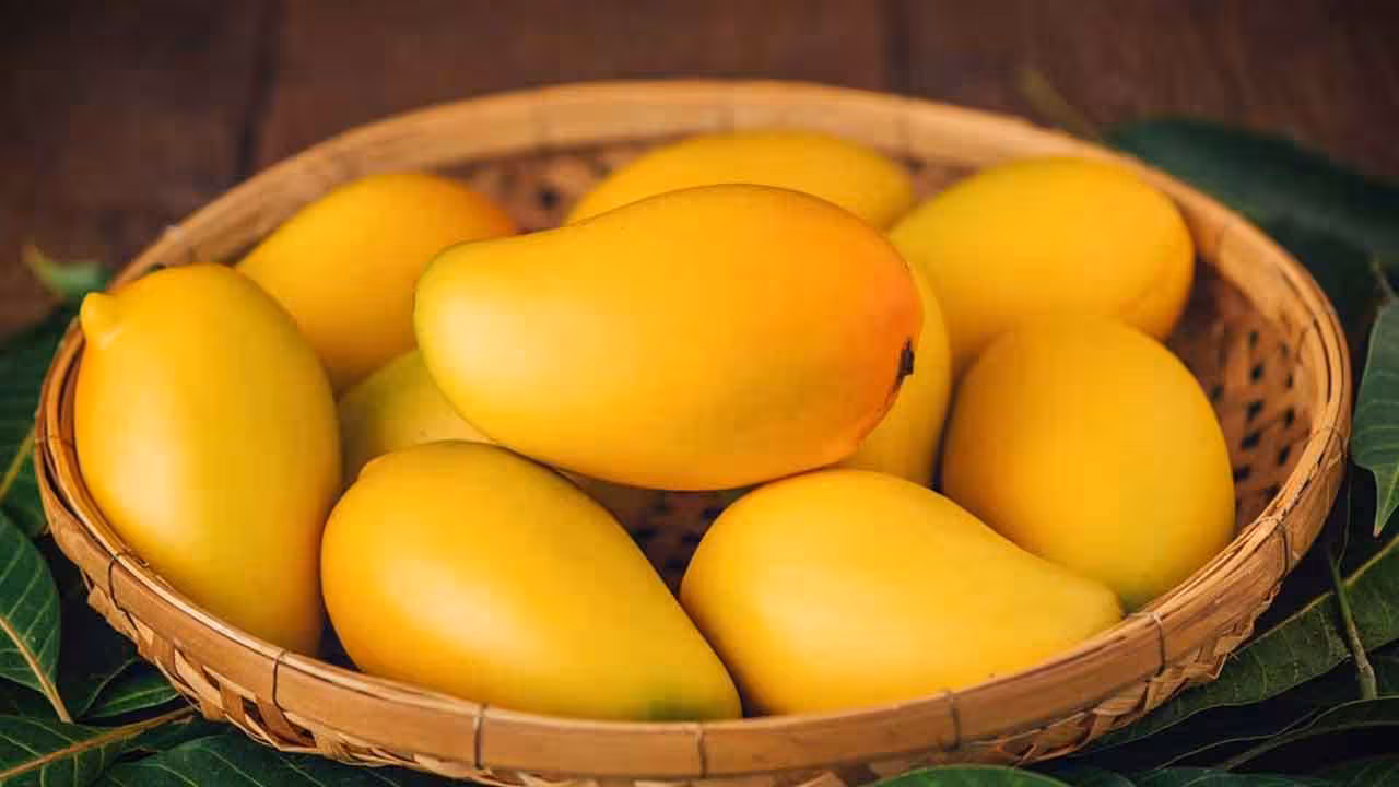 Mangoes | కార్బైడ్తో మగ్గించిన మామిడి పండ్లను తింటే ప్రమాదమే.. వాటిని ఇలా గుర్తించండి..