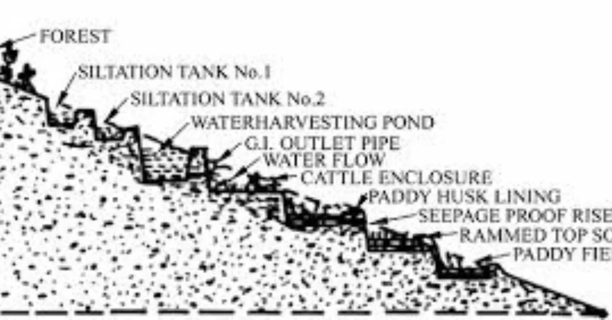 500 Year Old Zabo Farming Nagaland Secret to Saving Water and Sustainable Agriculture