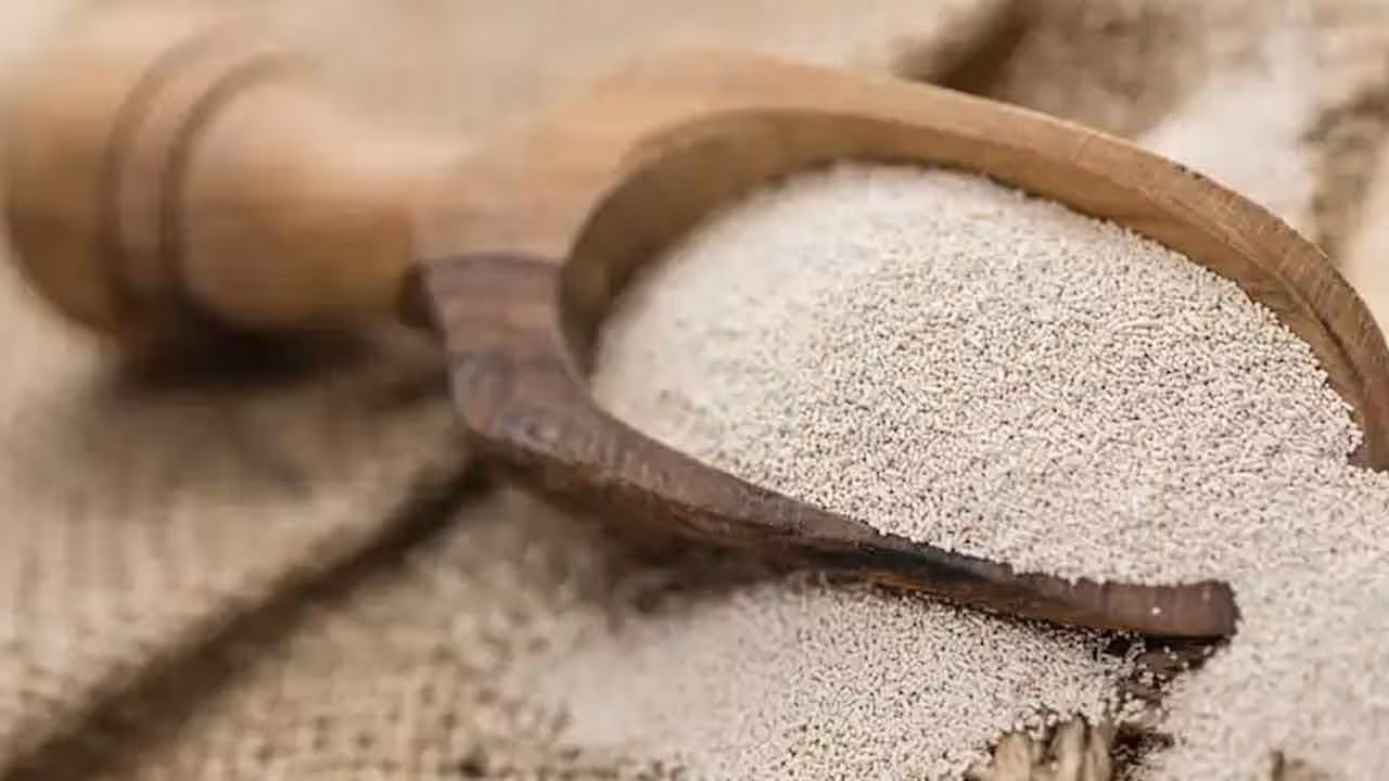Vitamin B12 | విటమిన్ B12 పొందాలంటే శాకాహారులకు చక్కని మార్గం.. రోజూ కాస్త తీసుకుంటే చాలు..