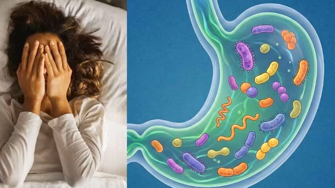 Digestive System And Sleep | జీర్ణవ్యవస్థకు, నిద్రకు ఏంటి సంబంధం..? శాస్త్రవేత్తలు ఏం గుర్తించారు..?