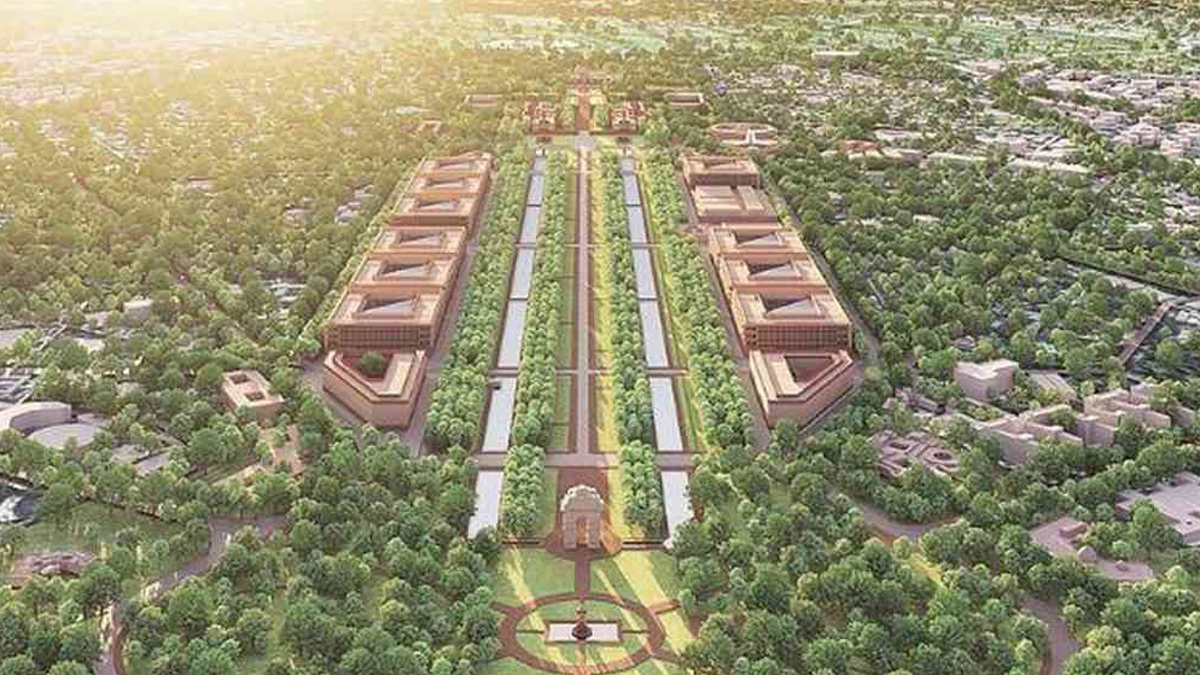 43% of Trees Transplanted for Central Vista Project Are Dead Centre Informs Lok Sabha