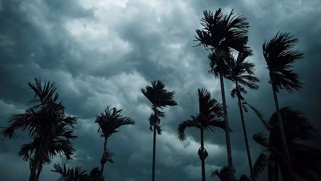 IMD | అండమాన్కు నైరుతి ఆగయా..! 26న కేరళం తీరాన్ని తాకే ఛాన్స్..