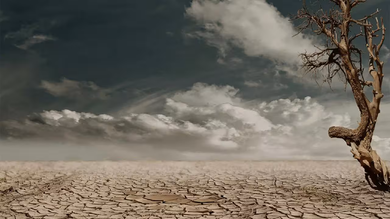 Monsoon | ఈ సారి మాన్సూన్లో వర్షాలు లేనట్టే..! హెచ్చరించిన ప్రపంచ వాతావరణ సంస్థ..!