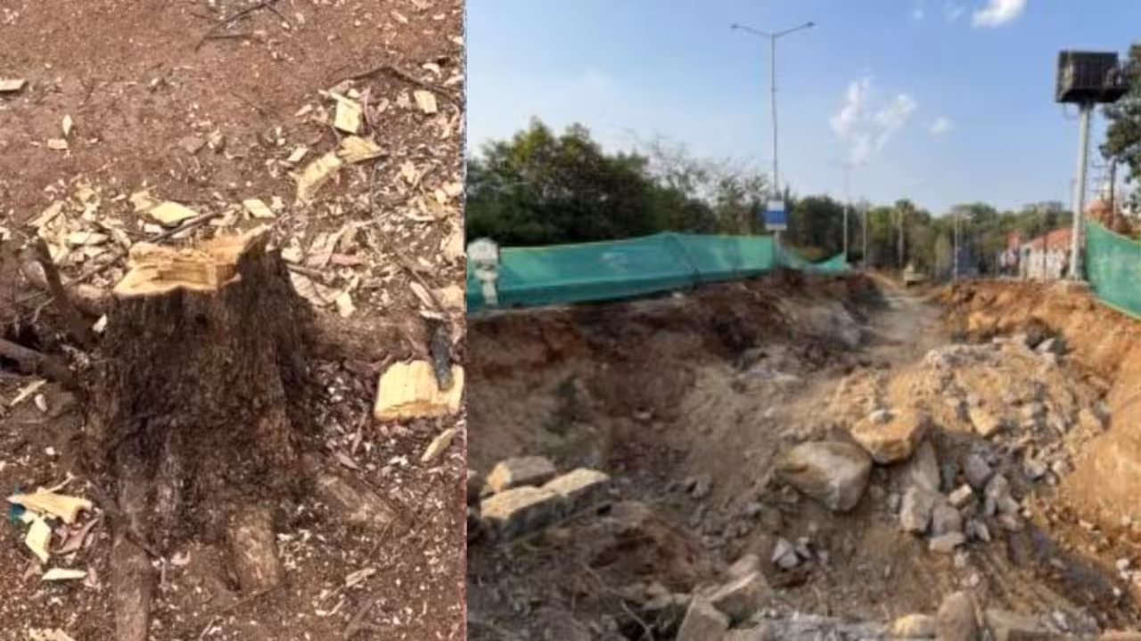 Supreme Court | కేబీఆర్ పార్కు వద్ద చెట్లను కొట్టేయొద్దు: సుప్రీం కీలక ఆదేశాలు